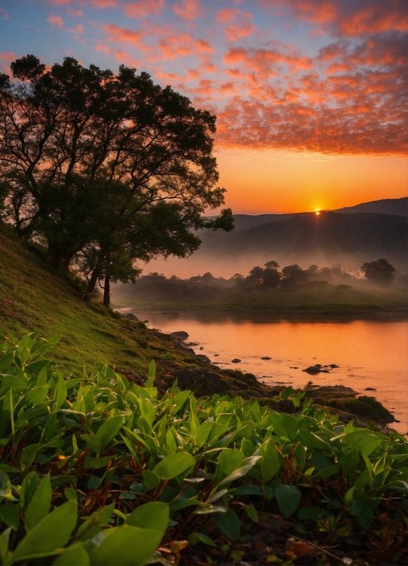 Cloud, Plant, Sky, Water, Ecoregion, Natural Landscape