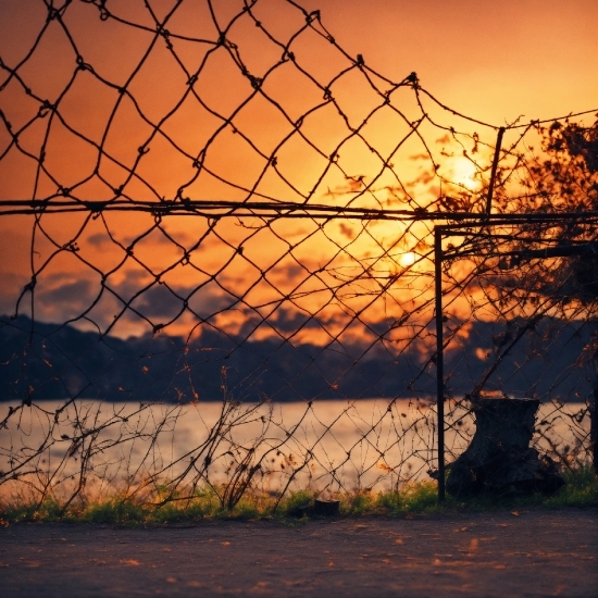 Sky, Plant, Atmosphere, Ecoregion, Afterglow, Fence