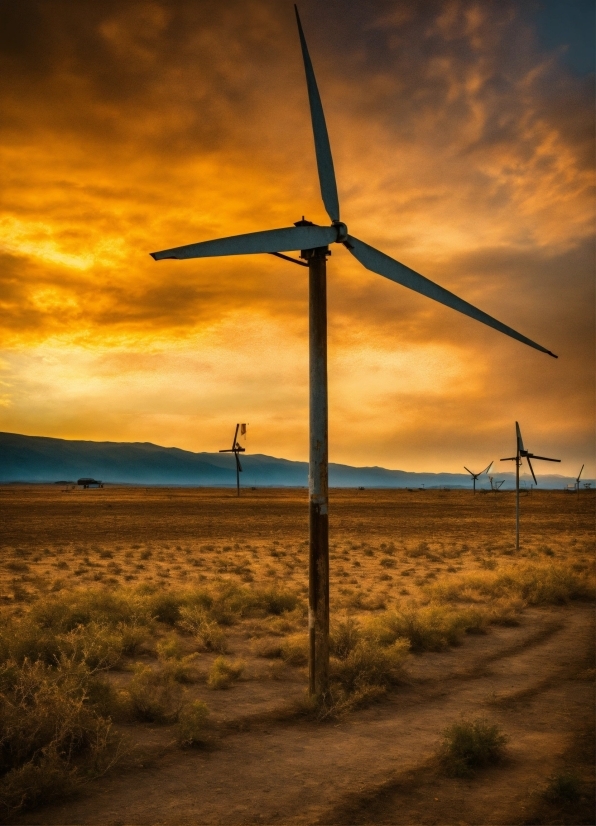 Cloud, Sky, Plant, Atmosphere, Windmill, Ecoregion