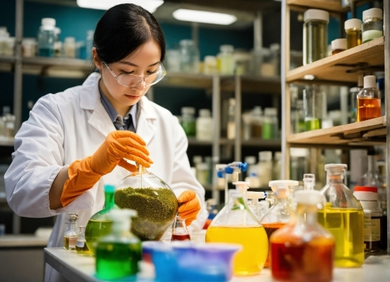 Glasses, Bottle, Customer, Countertop, Science, Cooking