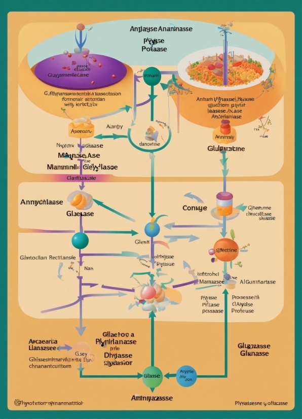 Line, Font, Parallel, Recipe, Science, Diagram