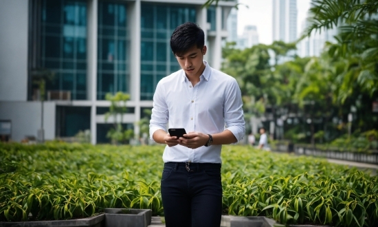 Plant, Dress Shirt, Window, Sleeve, Grass, Collar