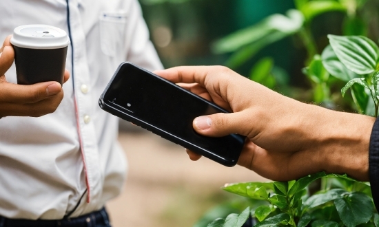 Hand, Drinkware, Mobile Phone, Communication Device, Plant, Gesture