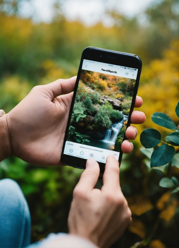 Hand, Plant, Natural Landscape, Communication Device, Gadget, Gesture