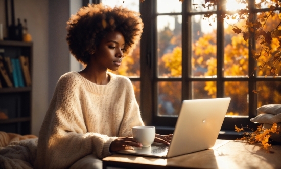 Computer, Laptop, Personal Computer, Window, Shelf, Netbook