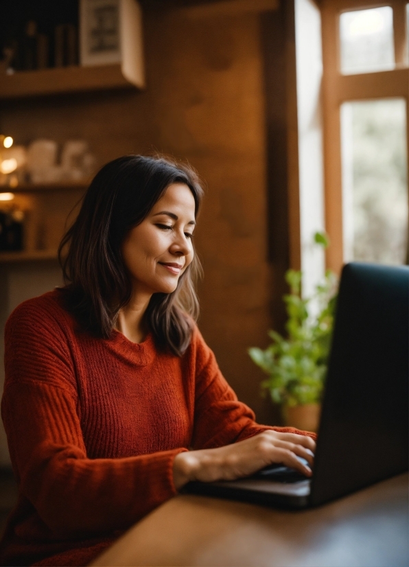 Computer, Personal Computer, Laptop, Plant, Smile, Window