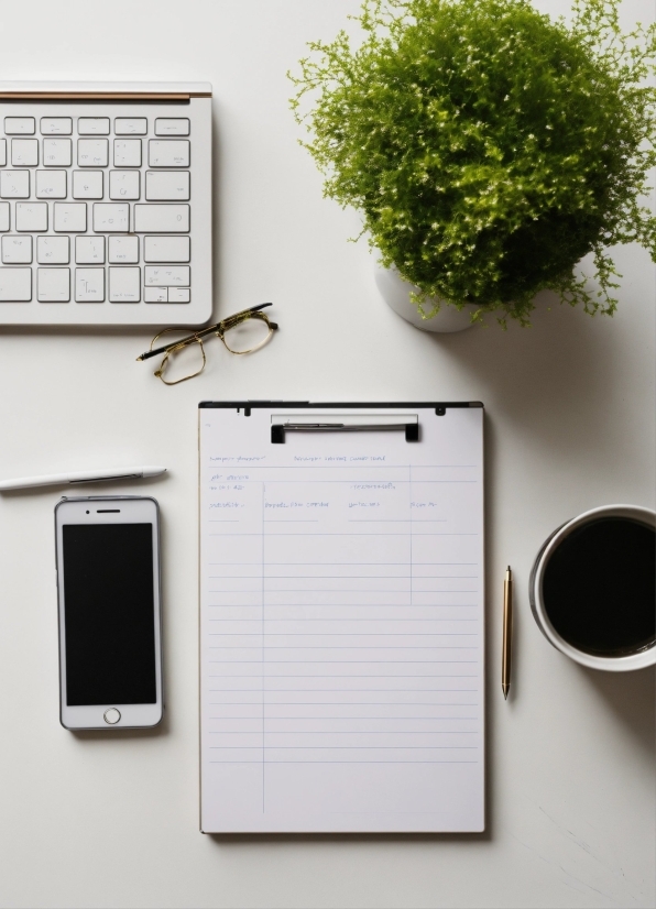 Plant, Peripheral, Computer Keyboard, Rectangle, Communication Device, Tableware