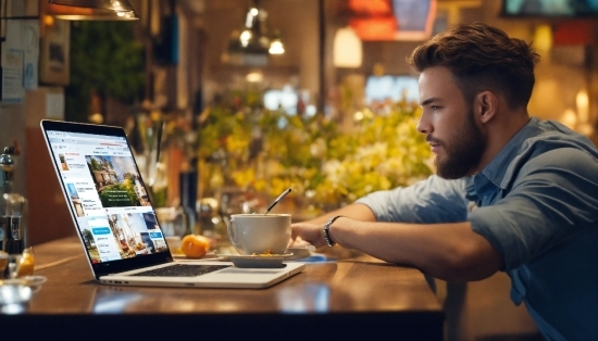 Computer, Personal Computer, Laptop, Tableware, Table, Plant