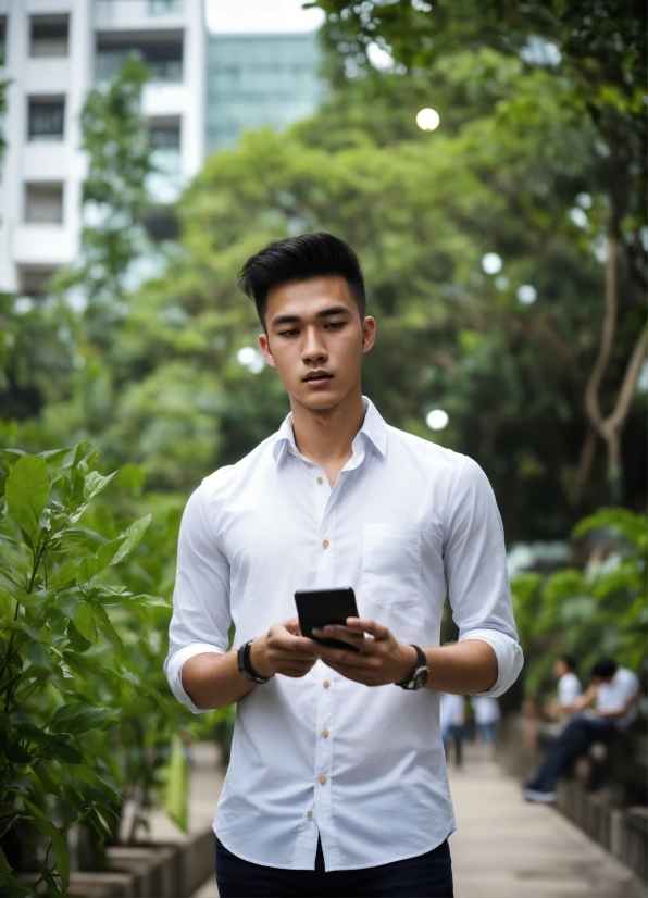 Photograph, Dress Shirt, Plant, Sleeve, Collar, Eyewear