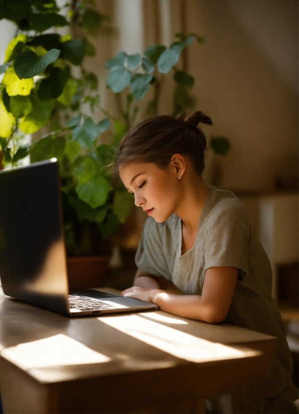 Hairstyle, Table, Computer, Personal Computer, Plant, Laptop