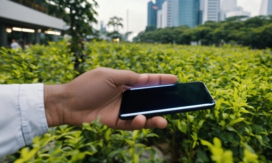 Hand, Plant, Gesture, Grass, Communication Device, Gadget