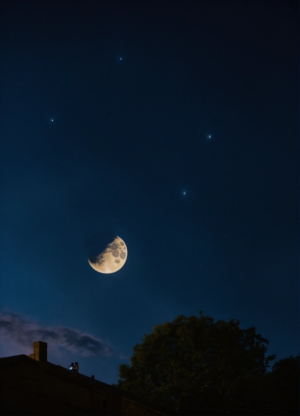 Sky, Atmosphere, Moon, Astronomical Object, Tree, Natural Landscape