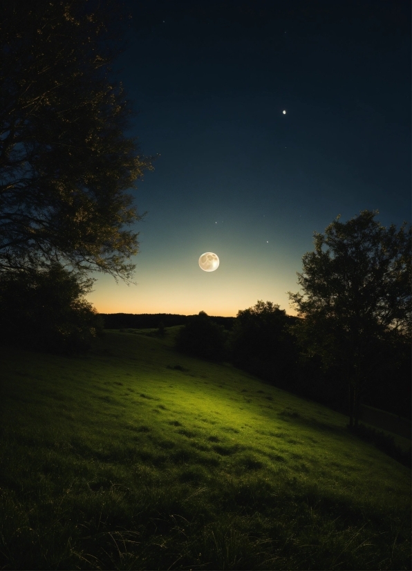 Sky, Plant, Atmosphere, Cloud, Moon, Leaf