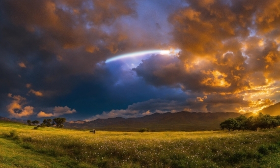 Cloud, Sky, Plant, Atmosphere, Natural Landscape, Tree