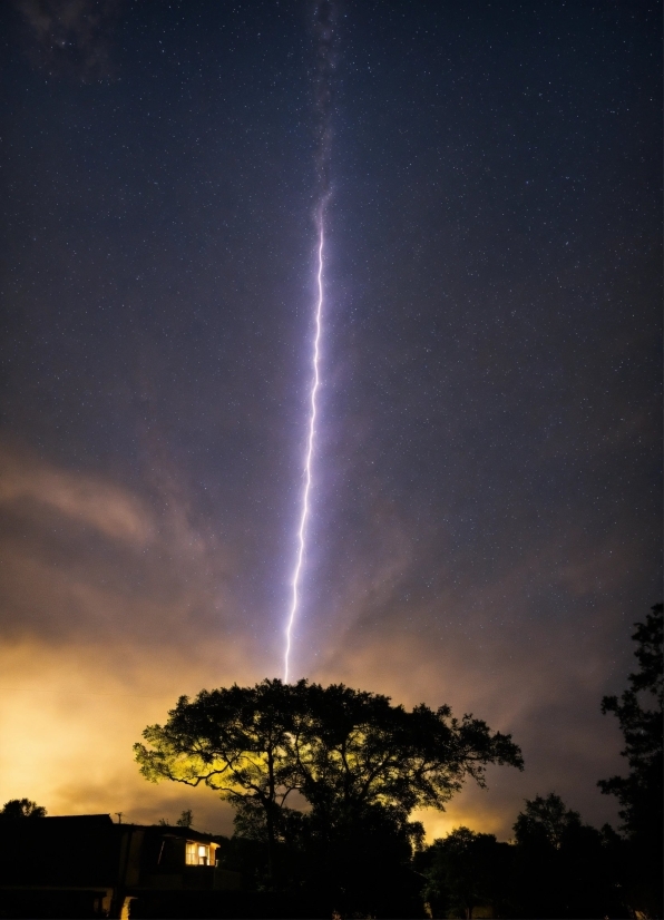 Sky, Atmosphere, Light, Tree, Thunder, Atmospheric Phenomenon