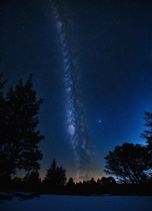 Sky, Atmosphere, Light, Natural Landscape, Natural Environment, Tree