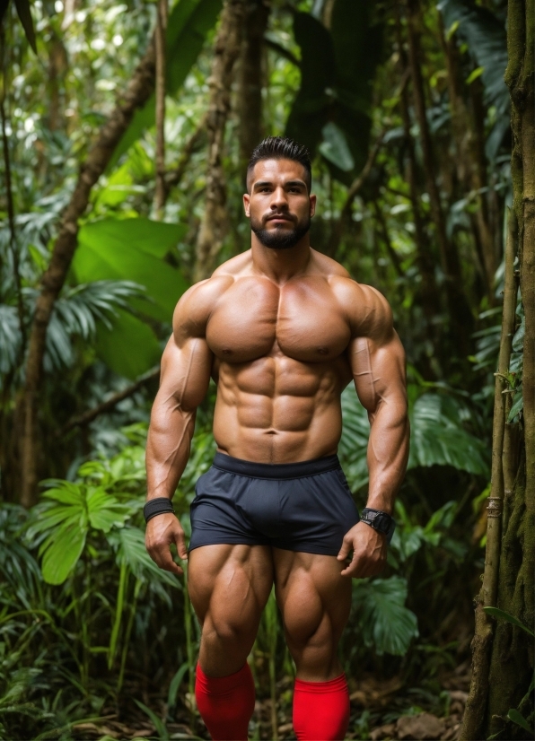 Bodybuilder, Bodybuilding, Terrestrial Plant, Tree, Thigh, Chest