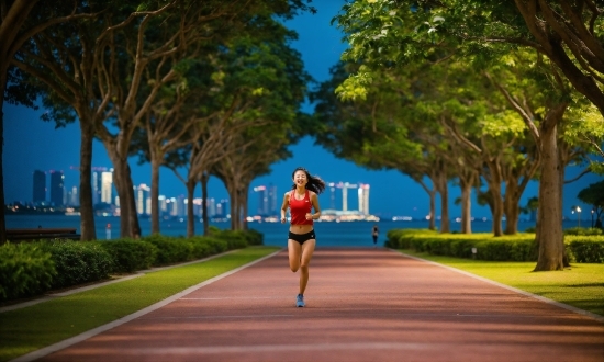 Plant, Shorts, Tree, Asphalt, Sky, Leisure