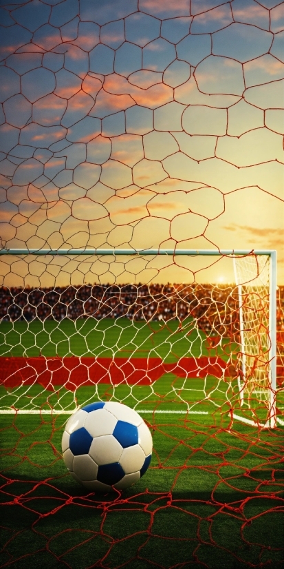 Sports Equipment, Soccer, Nature, Sky, Football, Plant