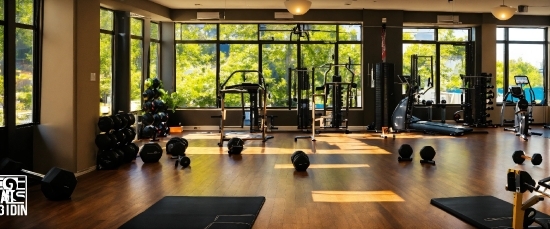 Property, Exercise Equipment, Gym, Interior Design, Floor, Flooring