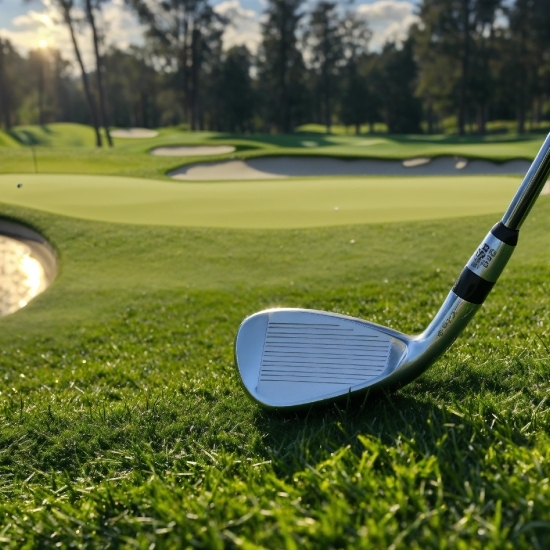 Plant, Daytime, Golf, Sky, Golf Equipment, Tree