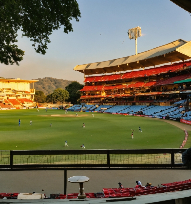 Sky, Daytime, World, Sports, Tree, Grass