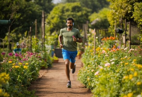 Plant, Flower, Shorts, People In Nature, Tree, Yellow