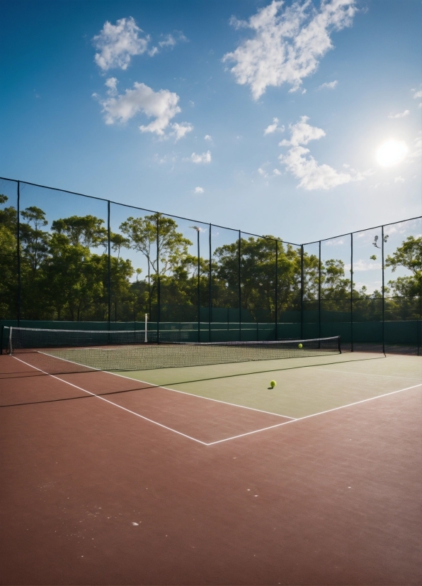 Sky, Cloud, Tennis, Plant, Tennis Court, Tree