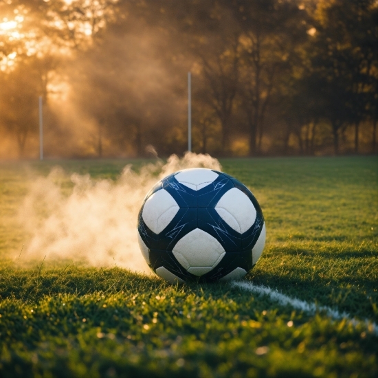 Atmosphere, Sports Equipment, Football, Plant, Sky, Soccer