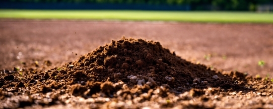 Brown, Grass, Landscape, Ingredient, Soil, Event